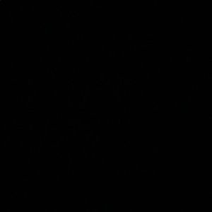 Meet your Posher, Markus